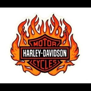 🔥More Coming Soon🔥Harley Davidson🔥